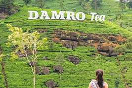 Discover the Hidden Beauty of Sri Lanka’s Hill Country-0