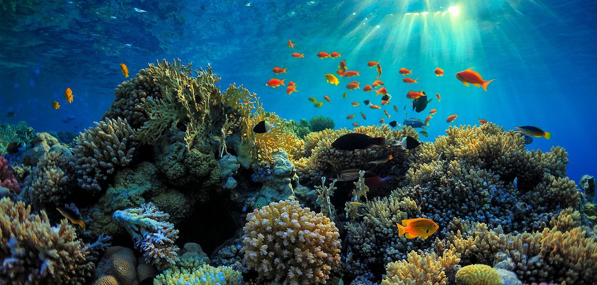 Great Barrier Reef